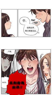 第250頁圖