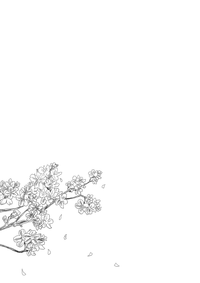 第22页图