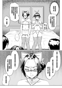 第10页图