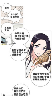 第202頁圖