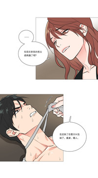 第250頁圖
