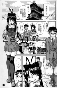 第186頁圖