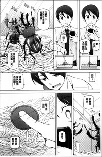 第206頁圖