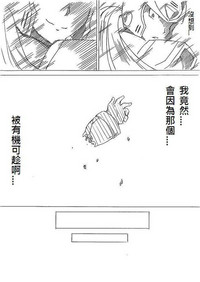 第42頁圖