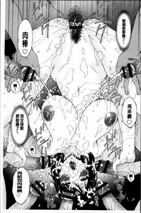 第106頁圖
