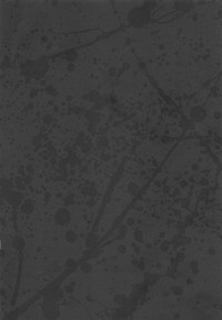 第126頁圖
