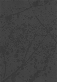 第74頁圖