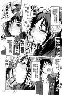 第178頁圖