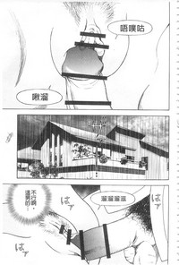 第146頁圖