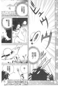 第202頁圖