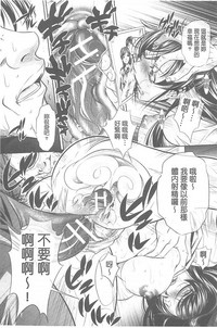第14頁圖