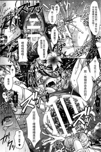 第42頁圖