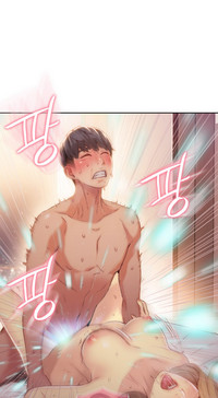 第446頁圖