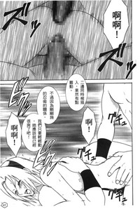 第42頁圖