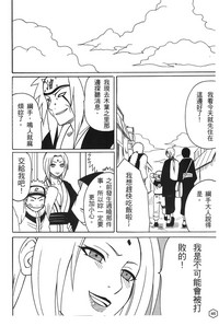 第46頁圖