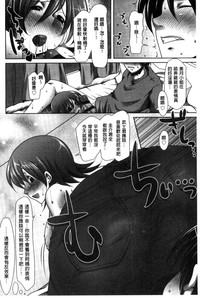 第206頁圖