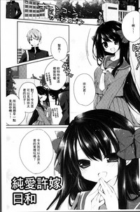 第106頁圖