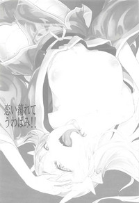 第2页图