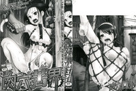 第2页图