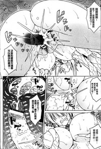 第42頁圖