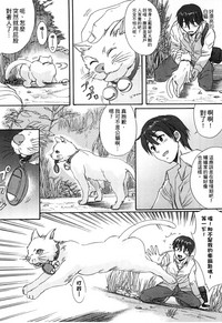 第130頁圖