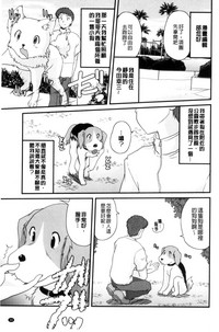 第42页图