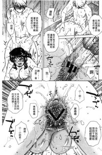 第182頁圖