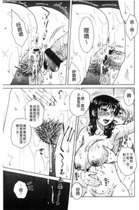第186頁圖