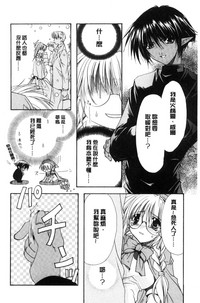 第146頁圖