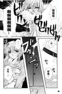 第86頁圖