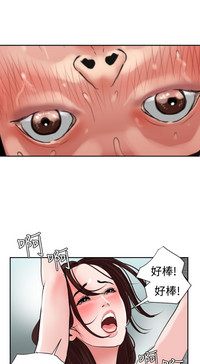 第522頁圖