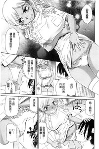第202頁圖