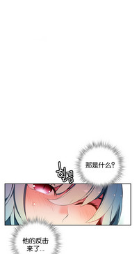 第242頁圖