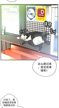 第330頁圖