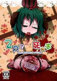 第2頁圖