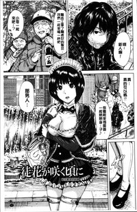 第62頁圖
