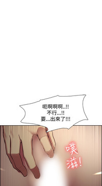第482頁圖