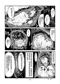 第22頁圖
