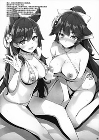 第2页图