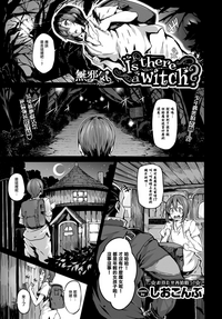 第2页图