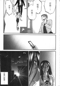 第206頁圖