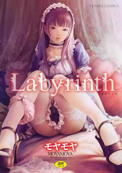 Labyrinth圖