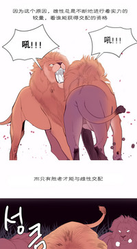 第166頁圖