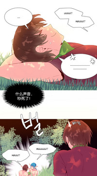 第326頁圖