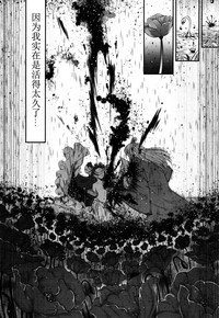 第42頁圖