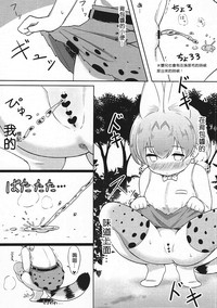 第14頁圖