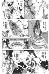 第146頁圖