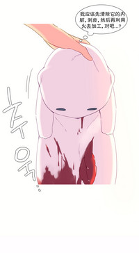 第262頁圖