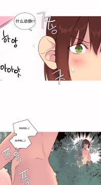 第590頁圖