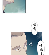 第210頁圖